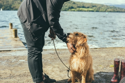 man and dog standing near dock